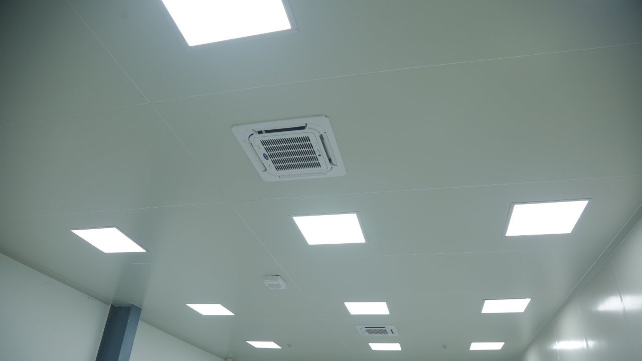 Untitled design - 2025-12-26T123248.970