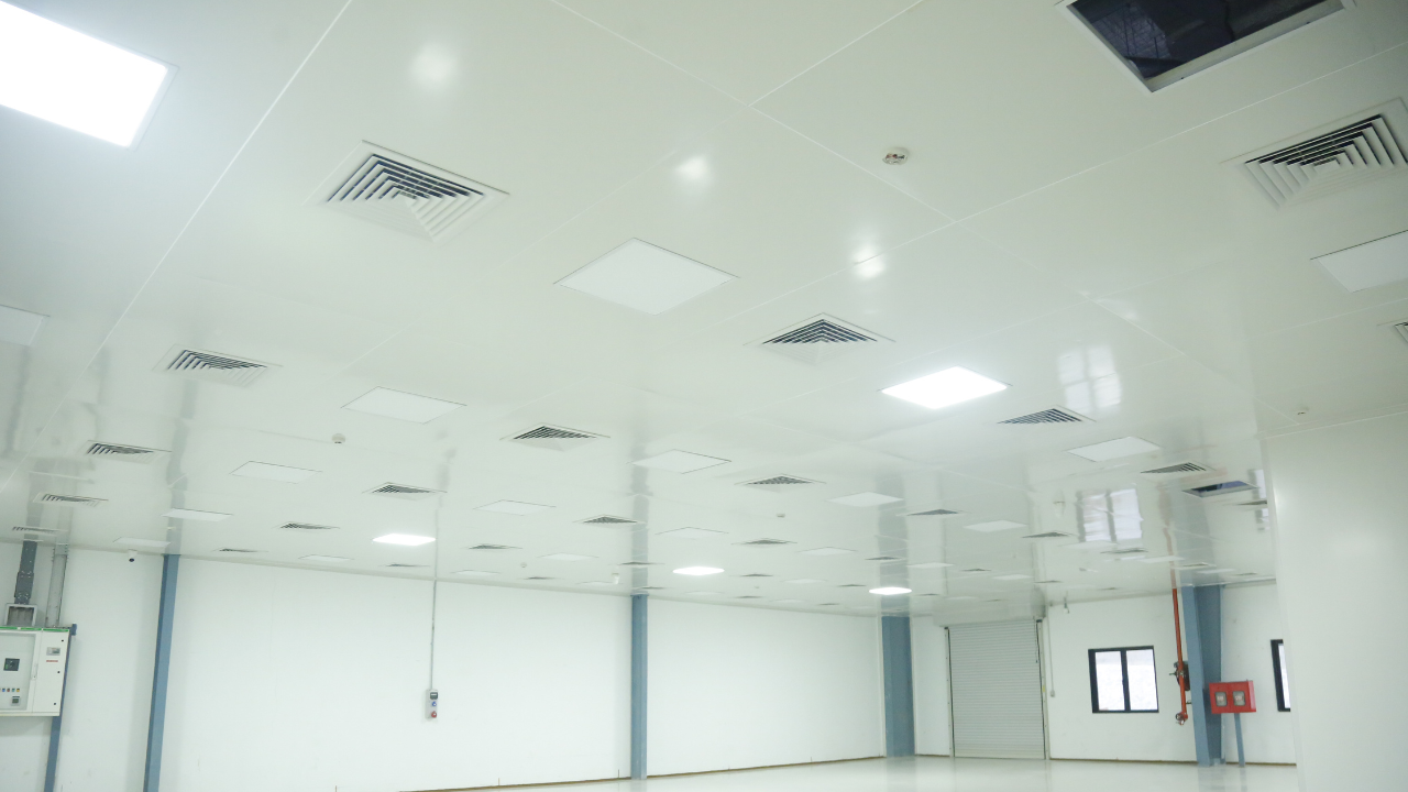 Untitled design - 2025-12-26T123311.020